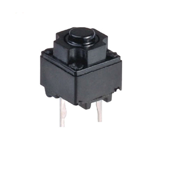C2506 6*6mm 2 pin tact switch